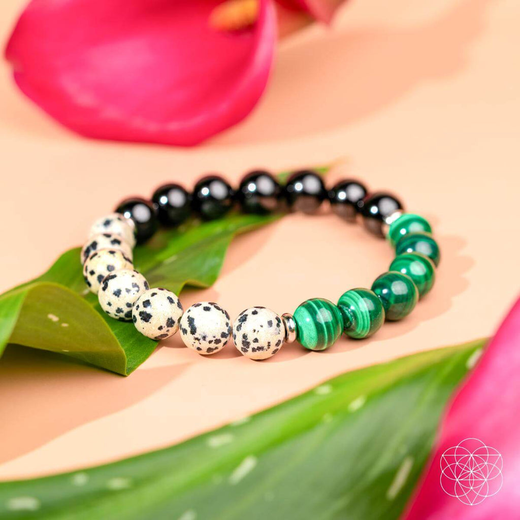 Soul Reset: Dalmatian Jasper Bracelet of Healing