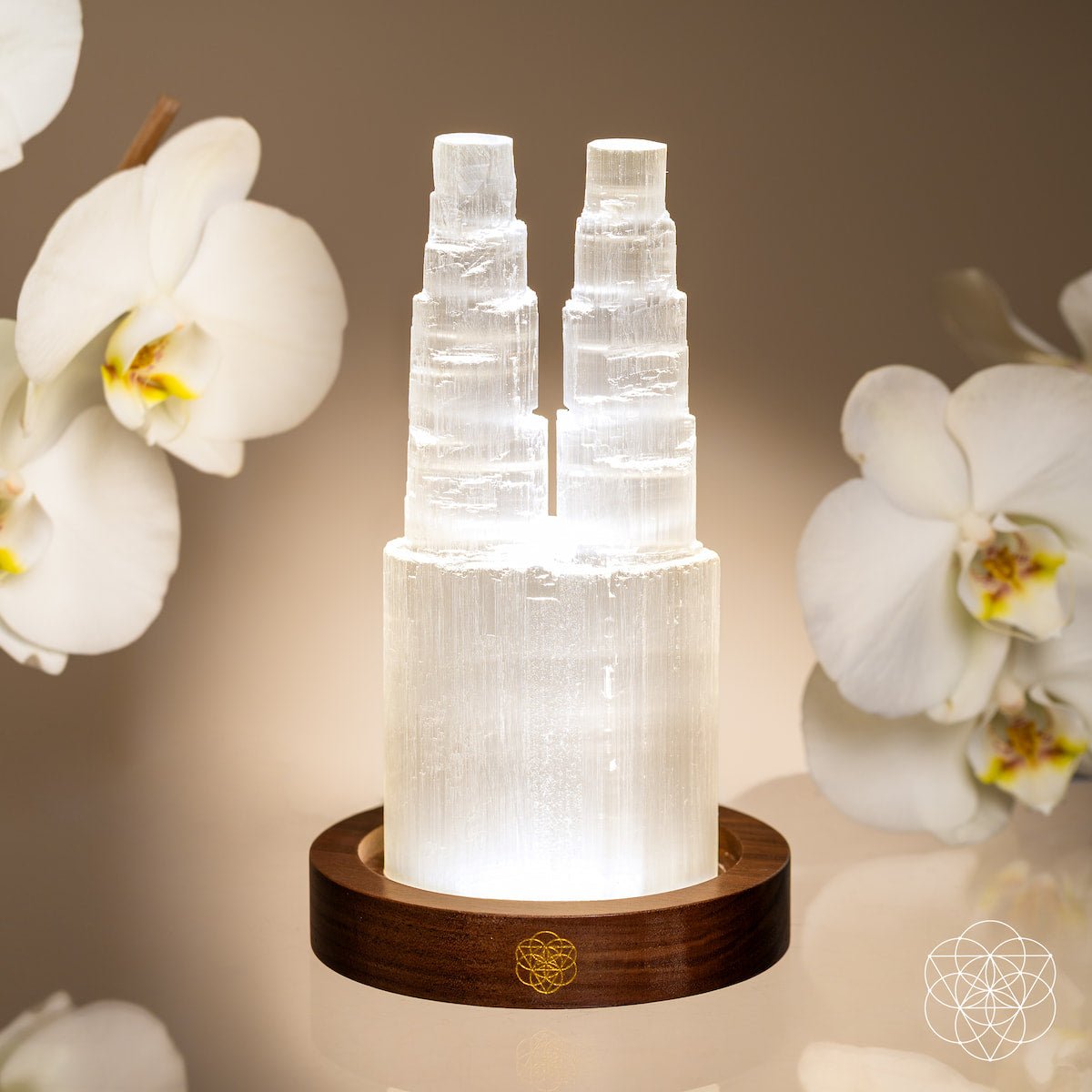 Selenite Lamp – Two-Tower Natural Crystal Night Light